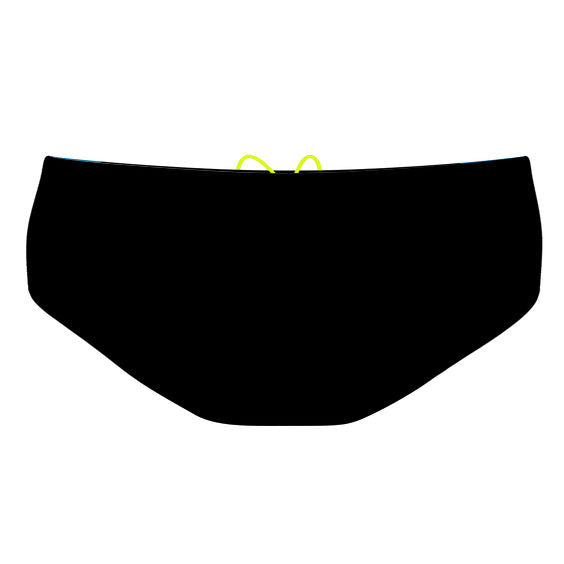 Spliced (3 colors) - Classic Brief Swimsuit
