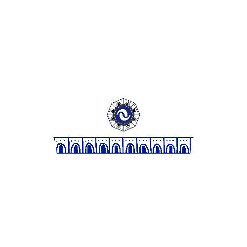 ANV EdoMex Interlomas 2025 - Men's Performance Shirt