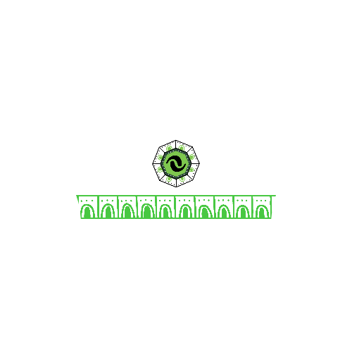 ANV EdoMex ZE 2025 - Men's Performance Shirt
