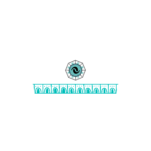 ANV EdoMex Del Valle 2025 - Men's Performance Shirt